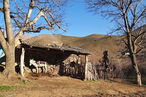 UZBEK-VILLAGE-TOUR