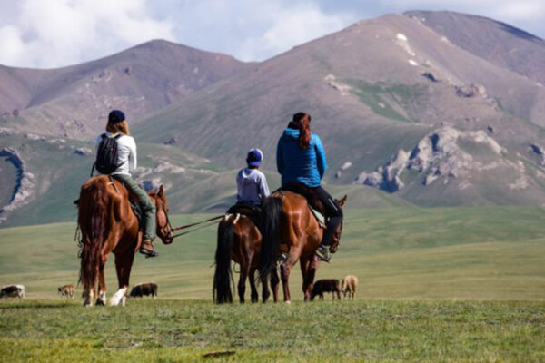 horse-riding-program